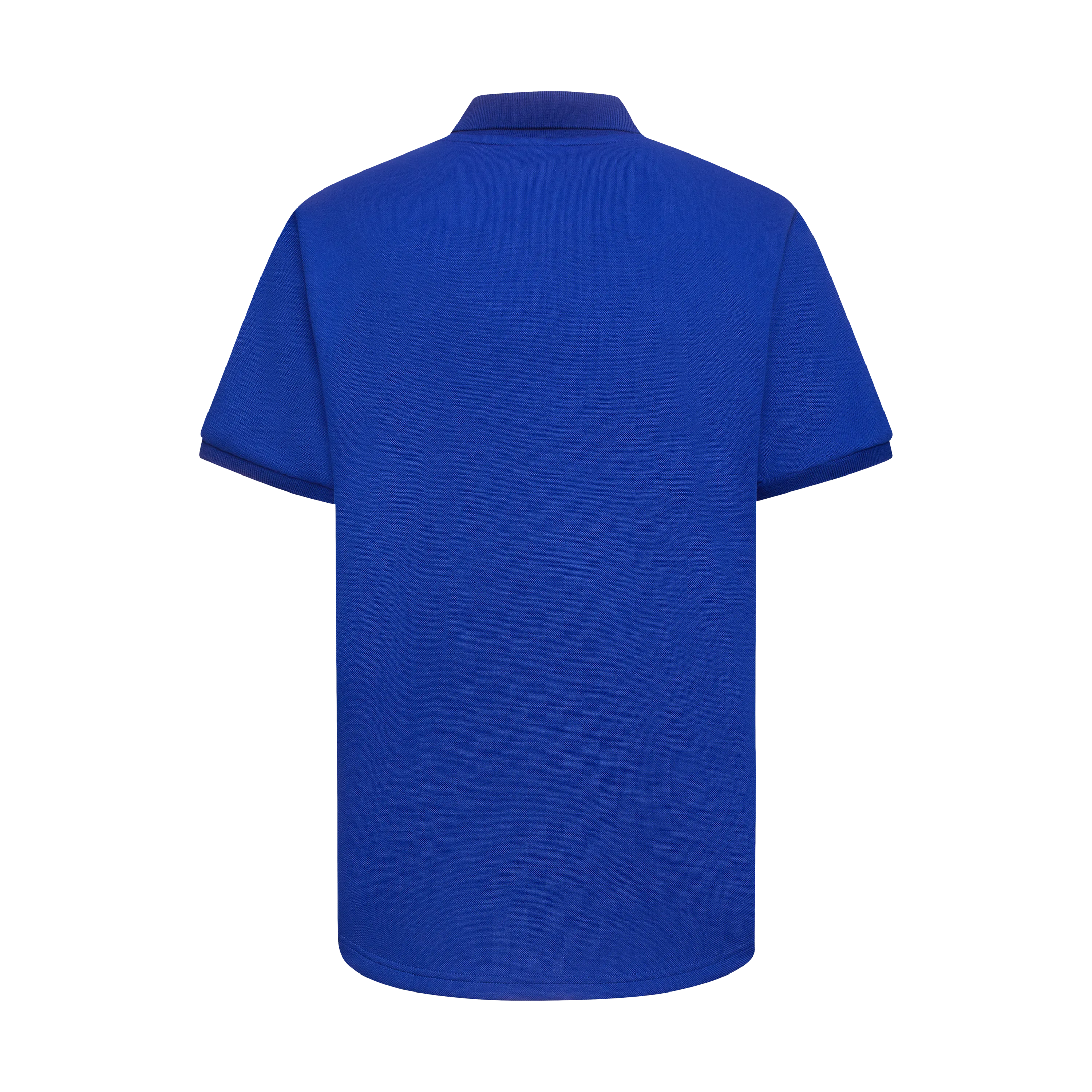 THE TERIDAE POLO-ROYAL